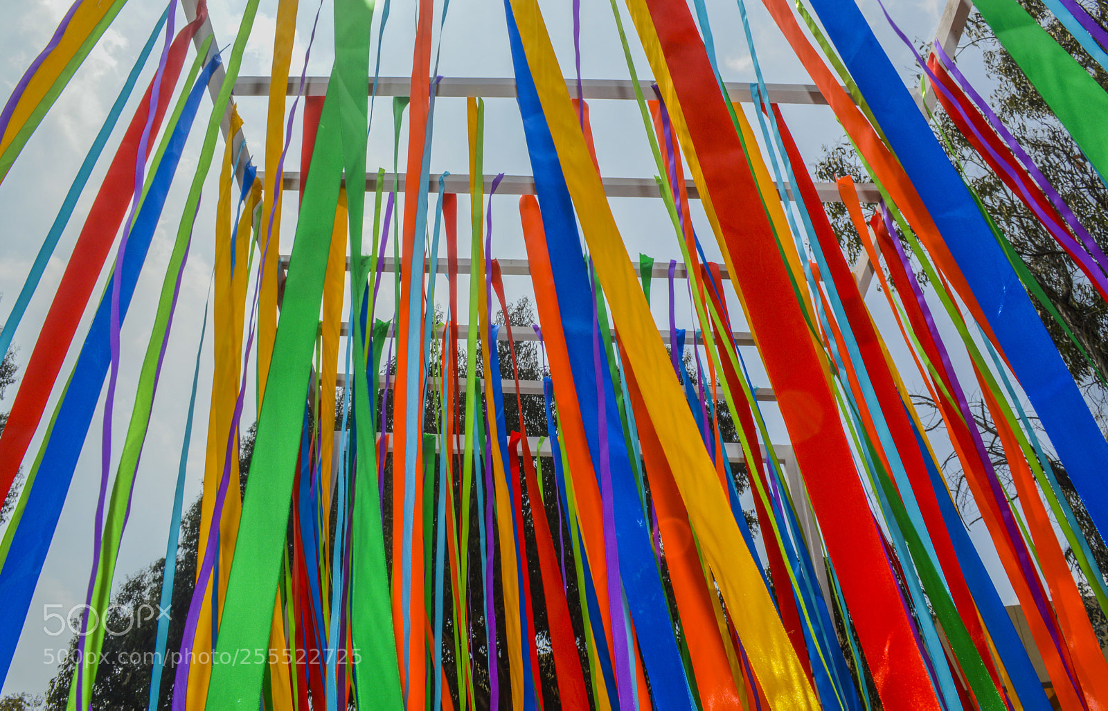 Nikon D3200 sample photo. Colors photography