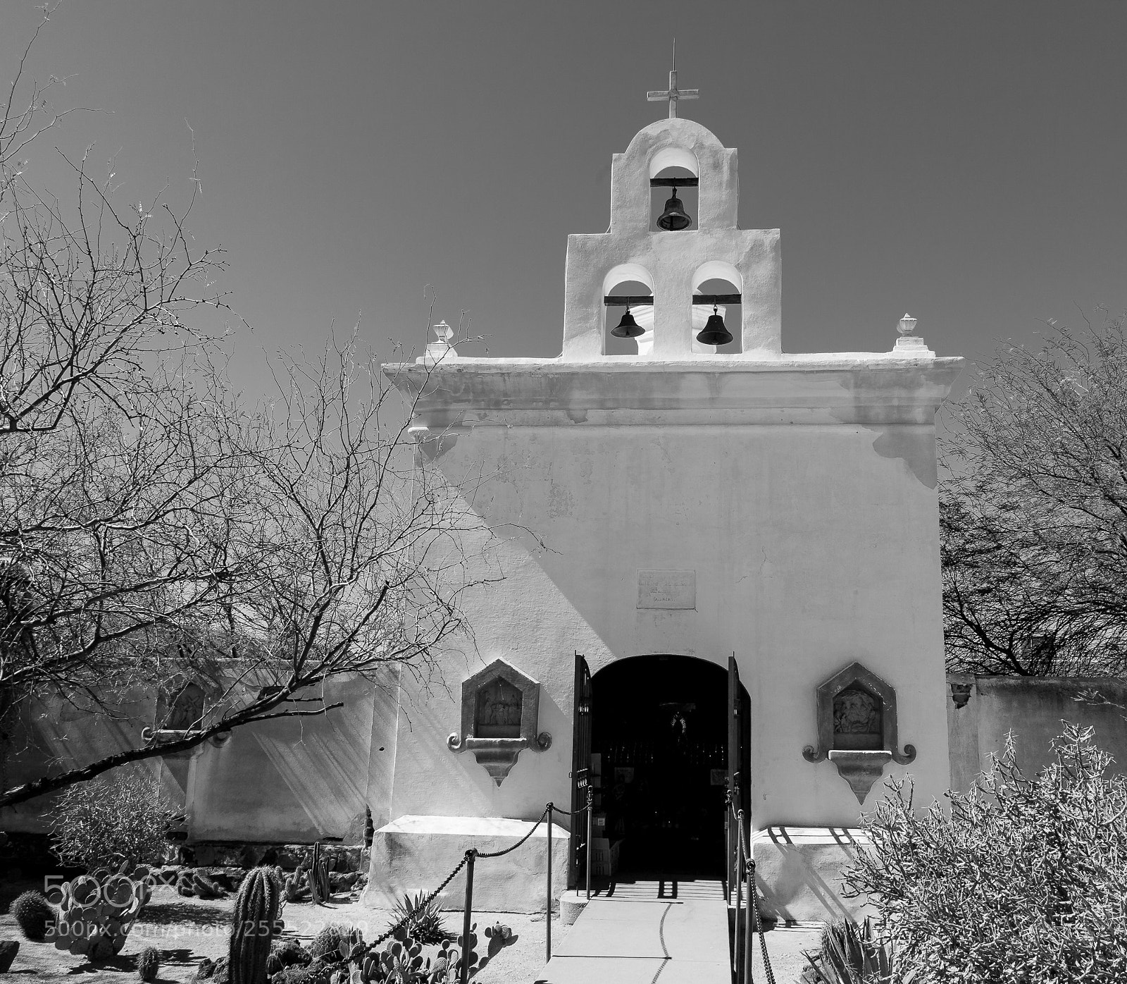 Canon EOS 5D sample photo. White-dove of the desert #2 photography