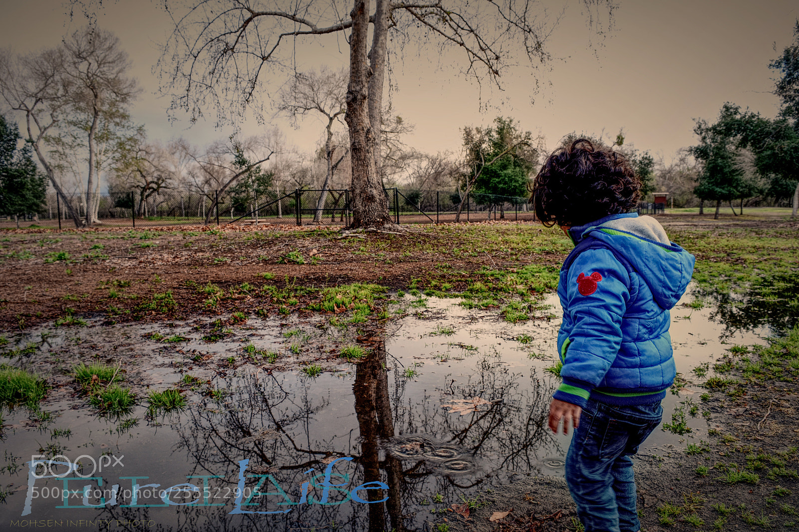 Nikon D7200 sample photo. My_kid_elias.jpg photography