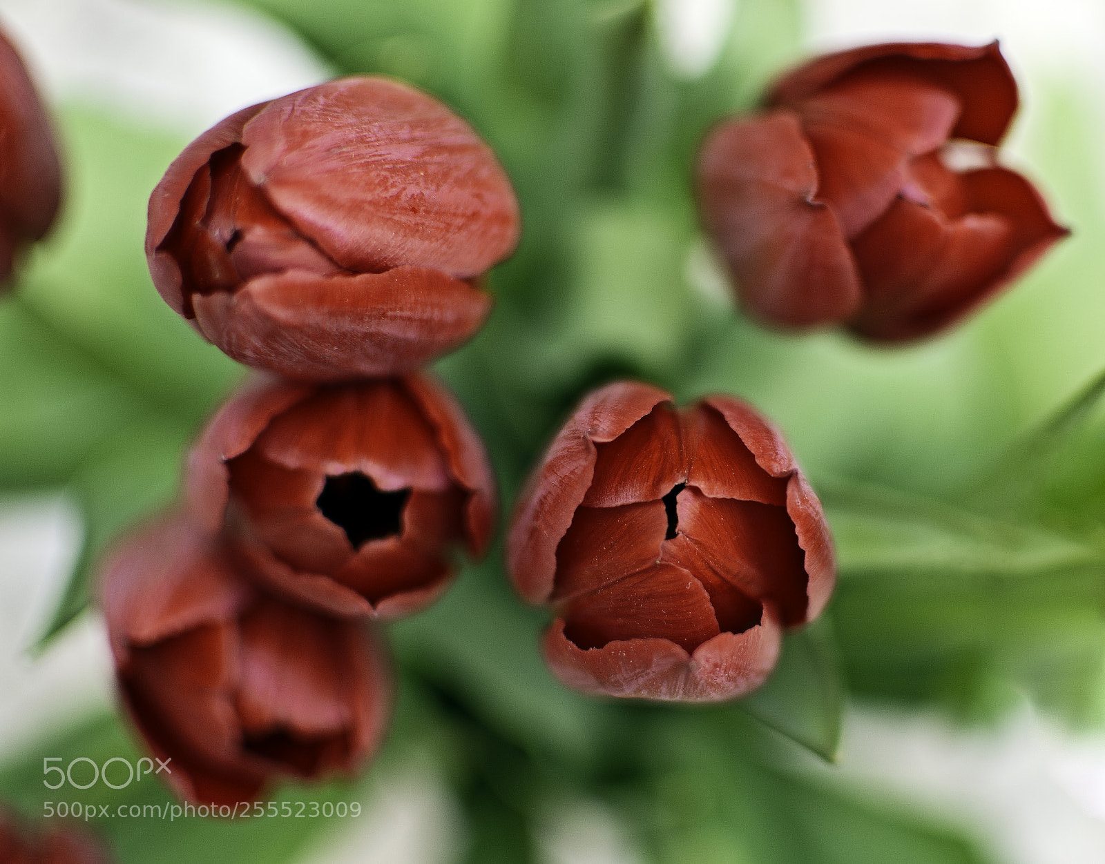 Nikon D5200 sample photo. Untitled photography