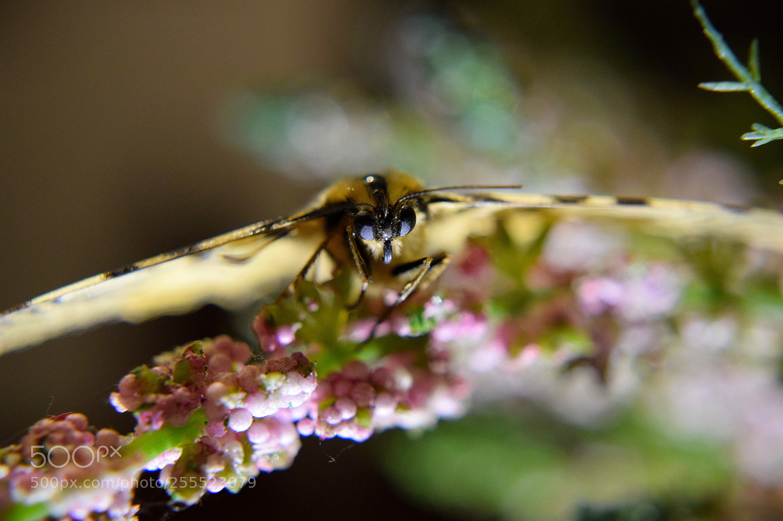Nikon D3300 sample photo. Untitled photography