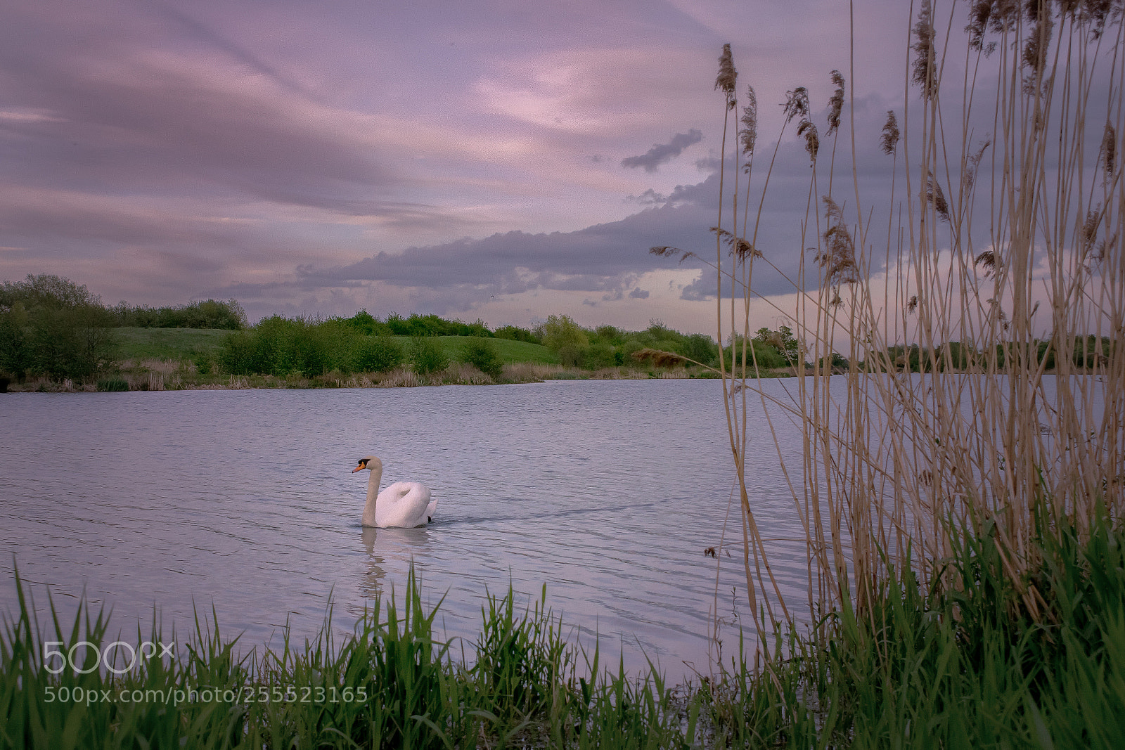 Nikon D3300 sample photo. Spring sunset 1 photography