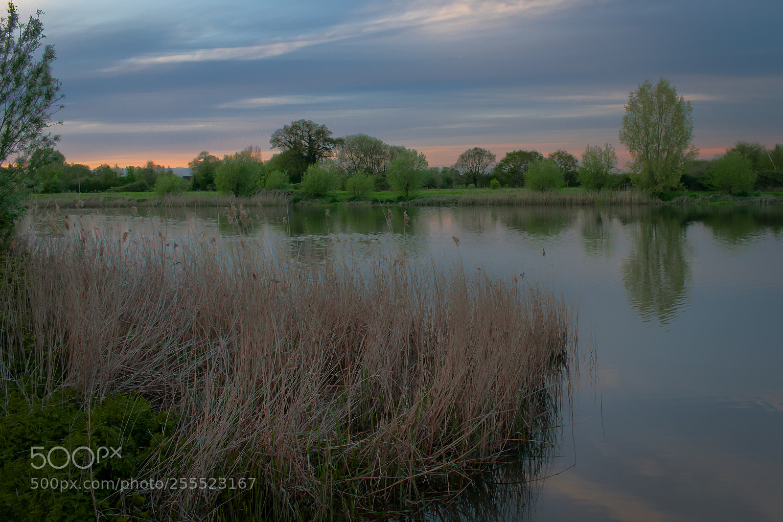 Nikon D3300 sample photo. Spring sunset 2 photography