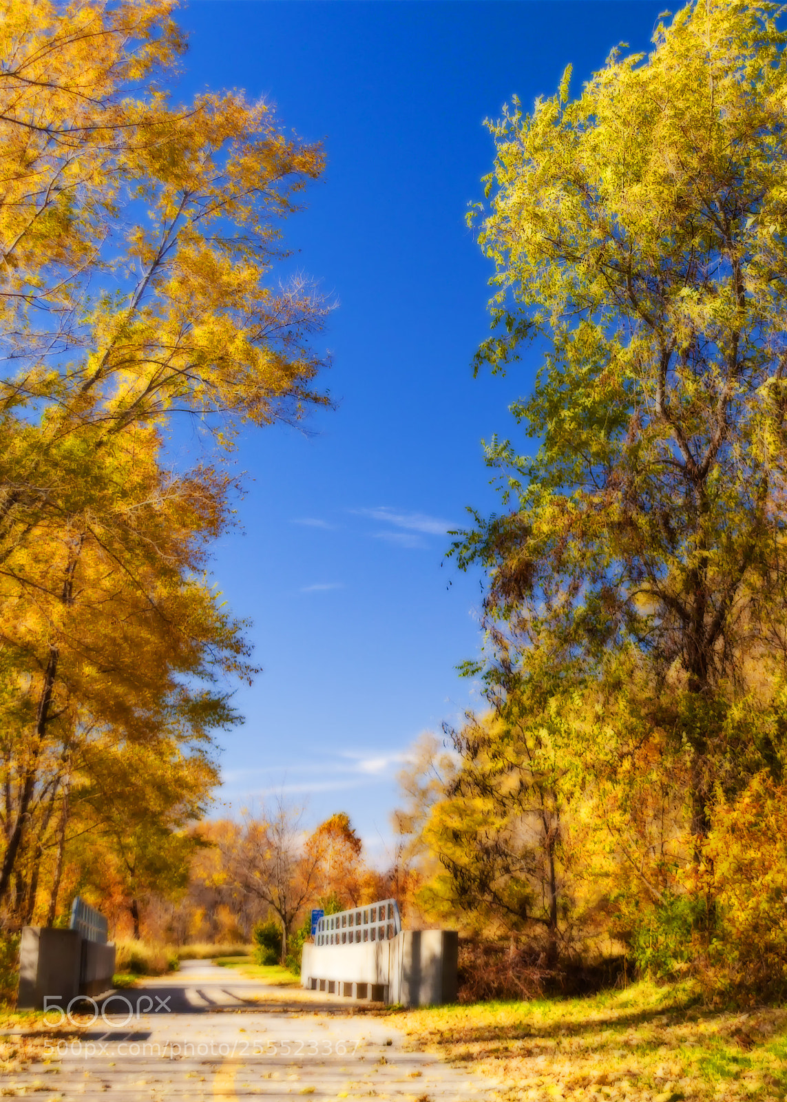 Canon EOS 450D (EOS Rebel XSi / EOS Kiss X2) sample photo. Ortonized autumn trail photography