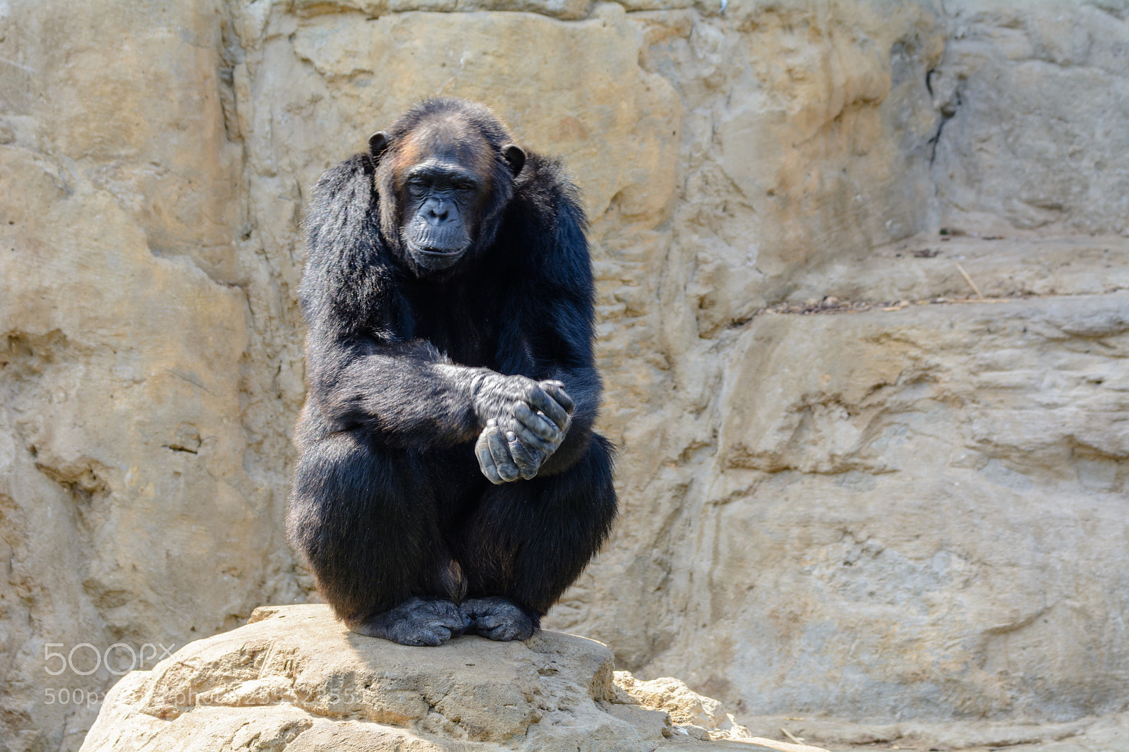 Nikon D7100 sample photo. Alex () photography