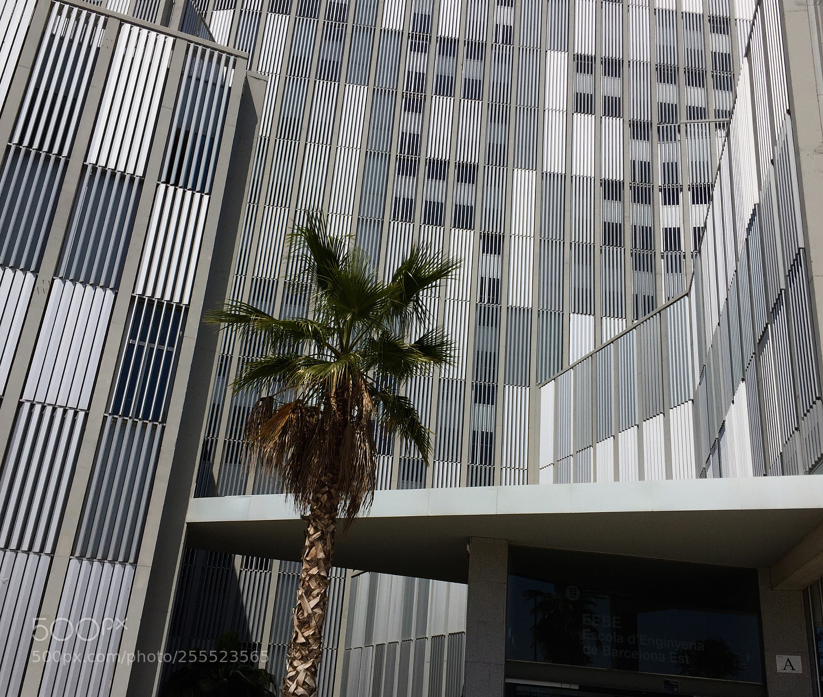 Apple iPhone 6 sample photo. Campus bes s escola photography