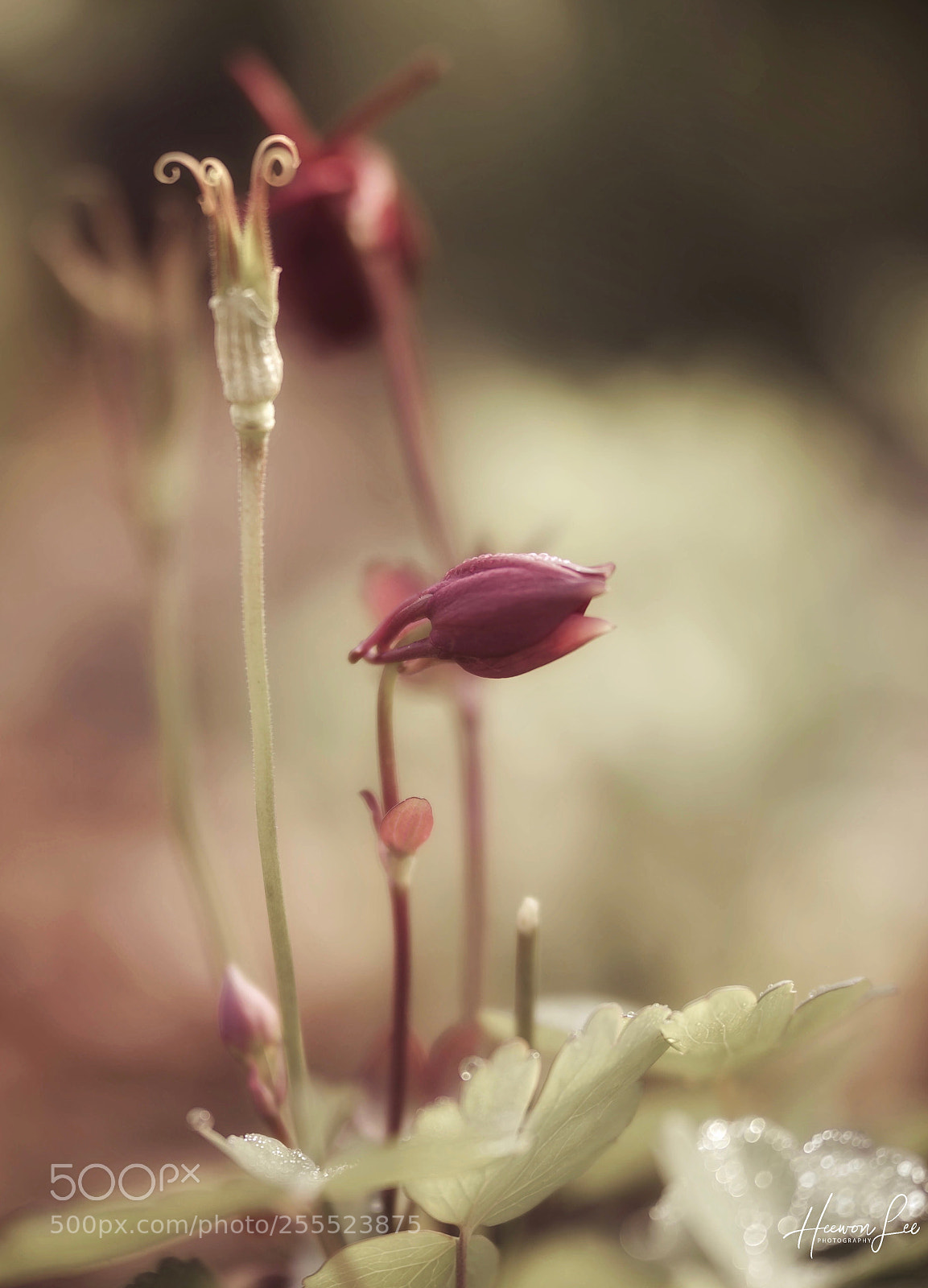 Canon EOS 6D sample photo. ᴹ photography