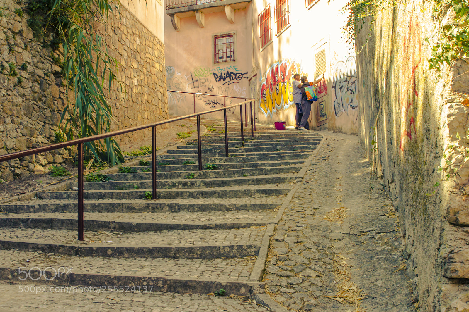 Canon EOS 60D sample photo. Hidden door - sintra photography