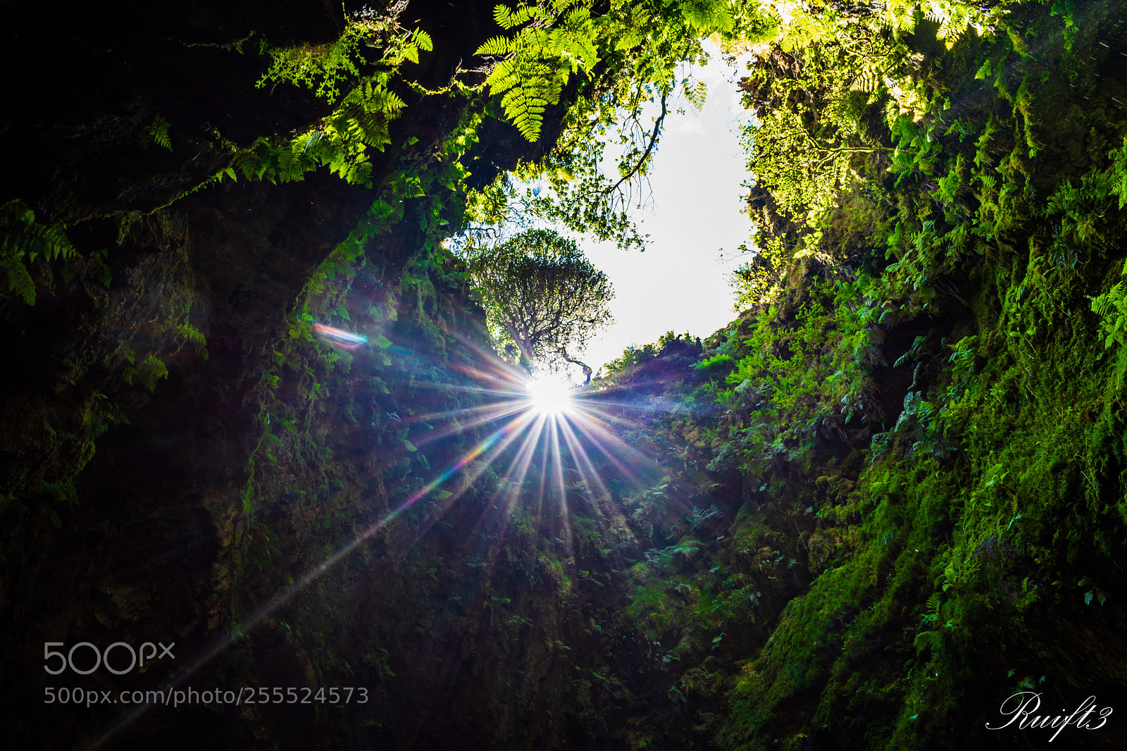 Nikon D5600 sample photo. Inside the volcano photography