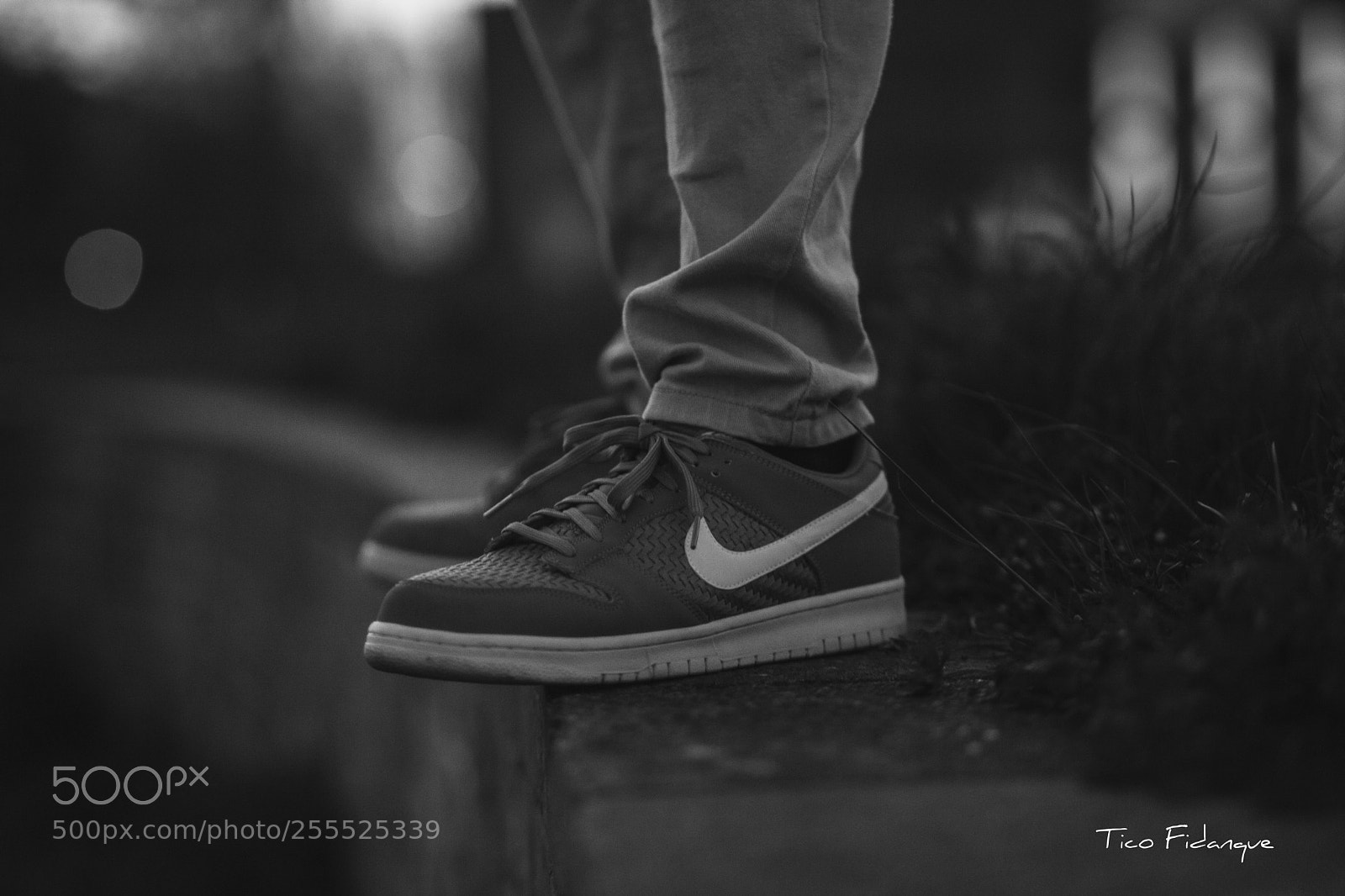 Canon EOS 5D Mark II sample photo. Untitled photography