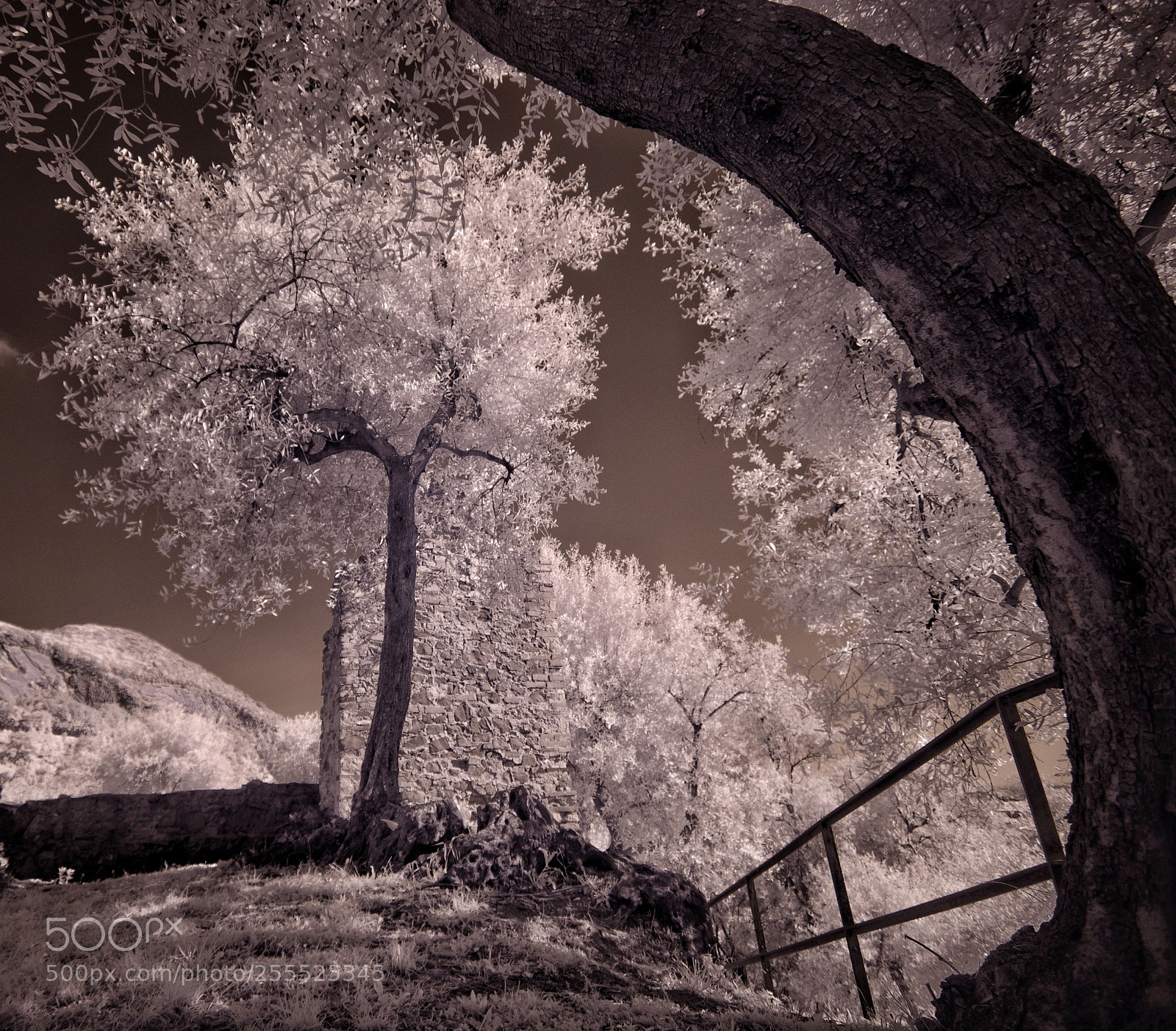 Nikon D5100 sample photo. Untitled photography