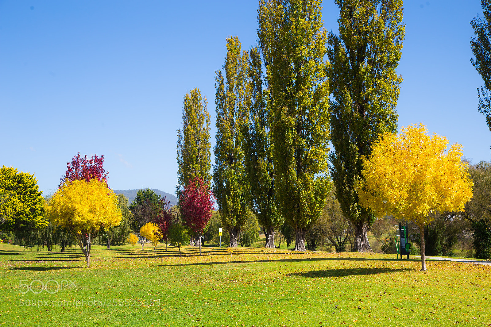 Canon EOS 6D sample photo. Park in autumn photography
