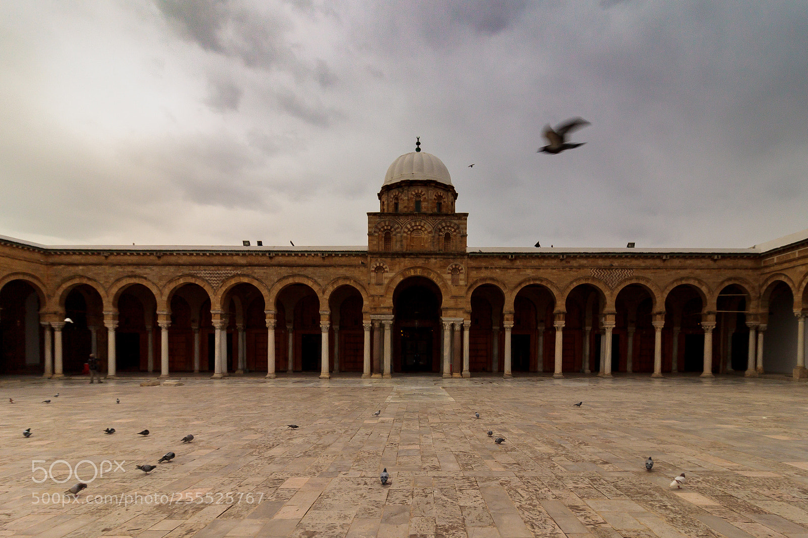 Canon EOS 500D (EOS Rebel T1i / EOS Kiss X3) sample photo. Zaytuna mosque photography