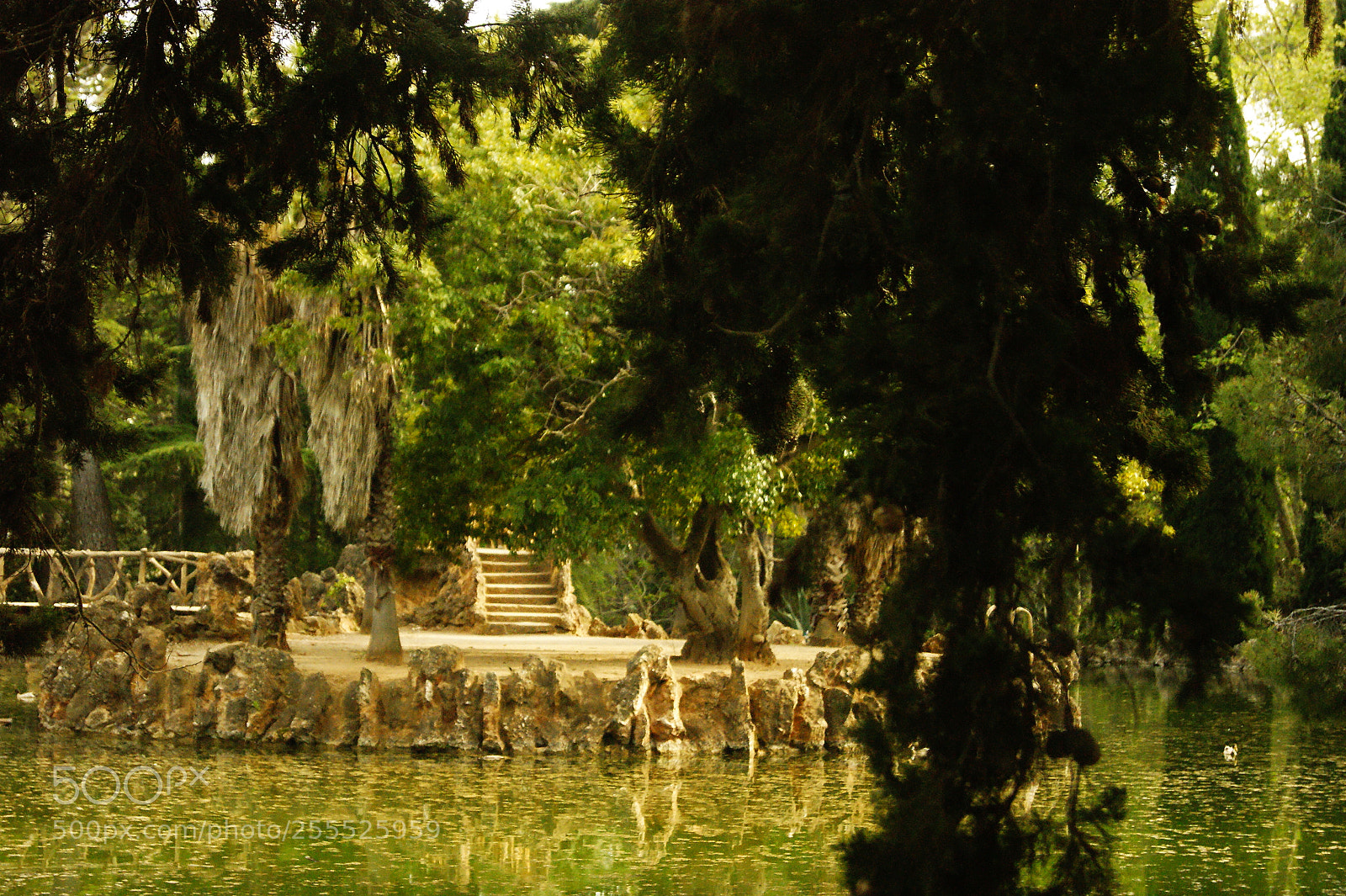 Sony Alpha DSLR-A290 sample photo. Natural park photography