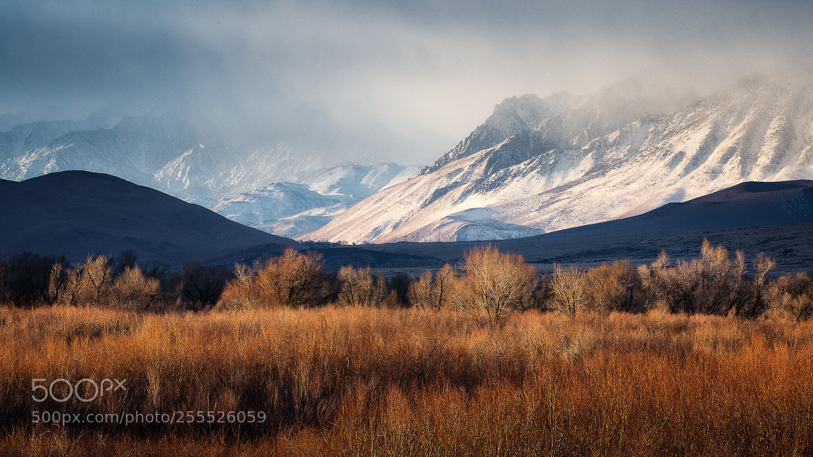 Canon EOS 5D Mark IV sample photo. Eastern sierras photography