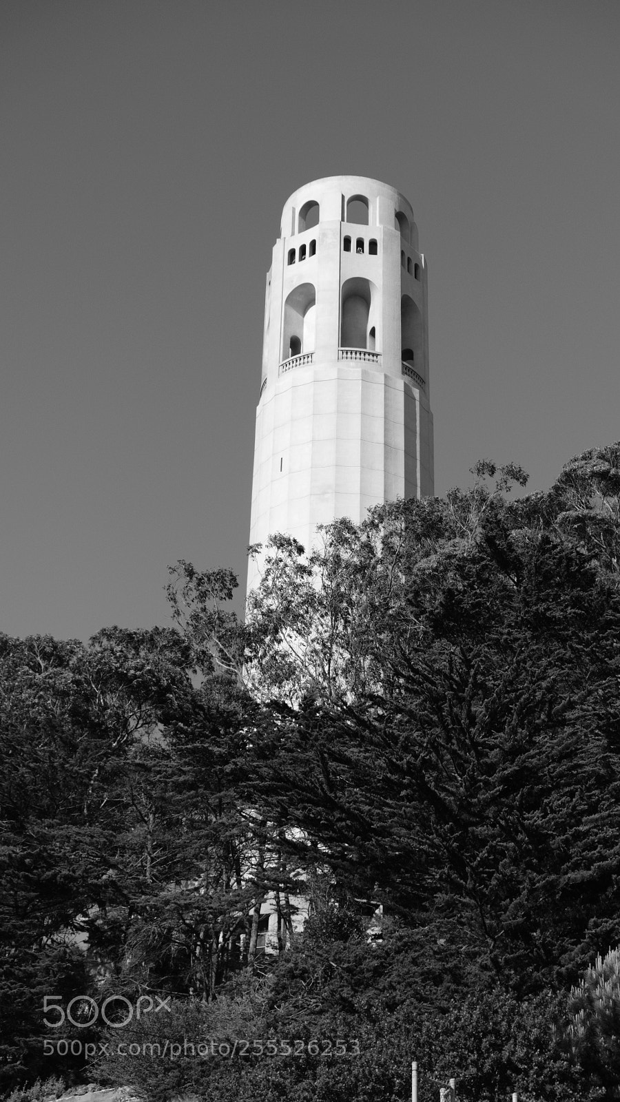 Fujifilm X-T20 sample photo. Coit tower photography