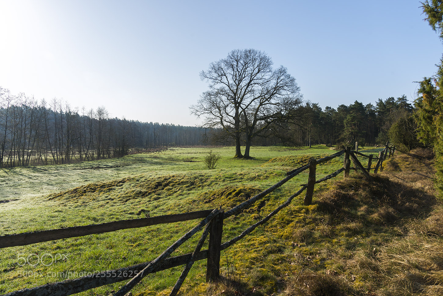 Nikon D800 sample photo. Lüneburger heide photography