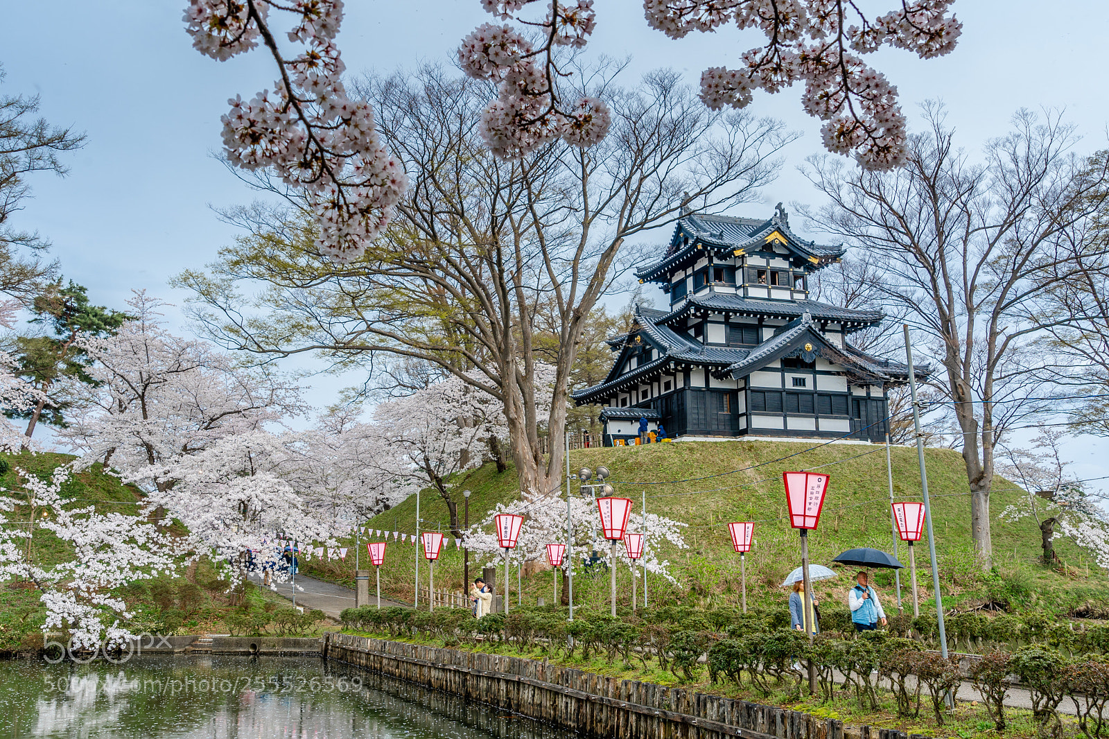 Sony a7 III sample photo. Takada sakura photography