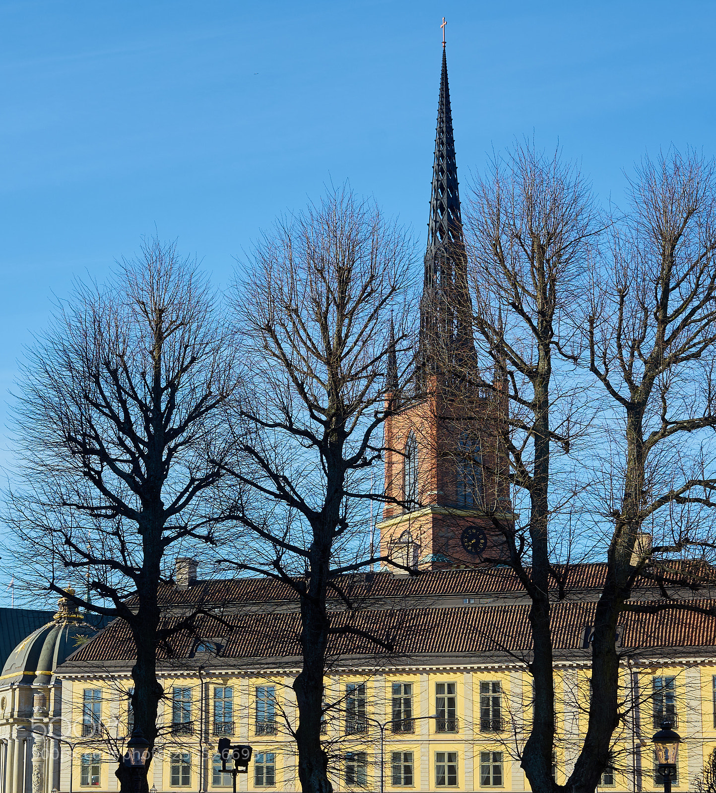 Sony a7 sample photo. Cathedral, trees, shadows and photography