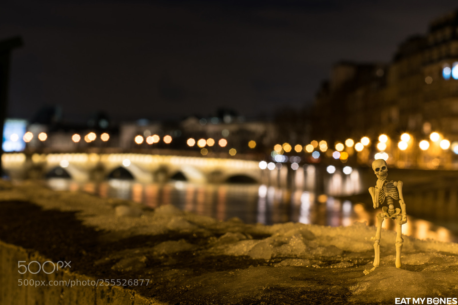 Nikon D5300 sample photo. Paris by night poseskeleton photography