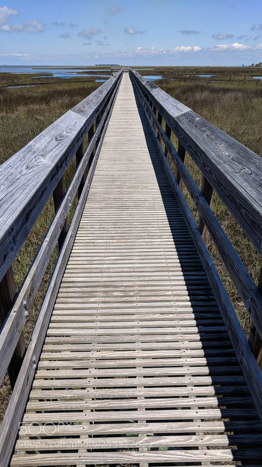 Google Pixel sample photo. Bridge to nature photography