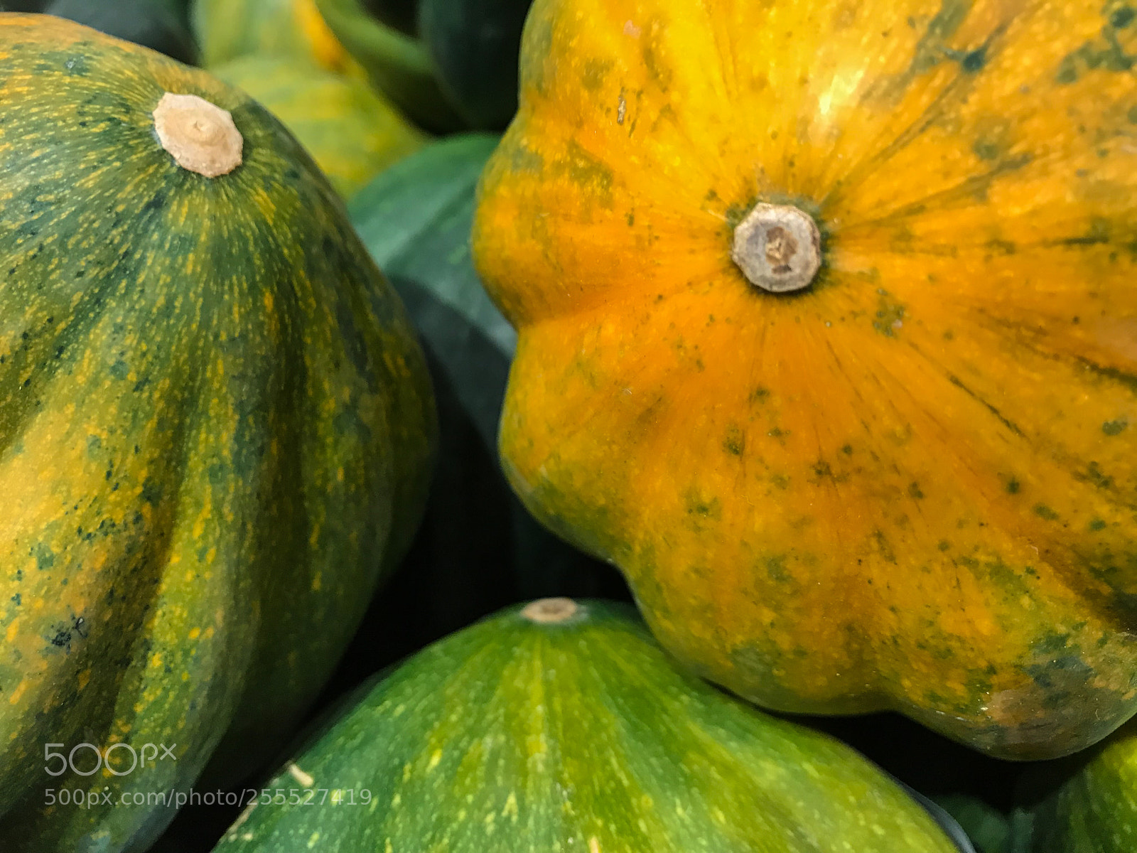 Apple iPhone 7 sample photo. The end of squash photography