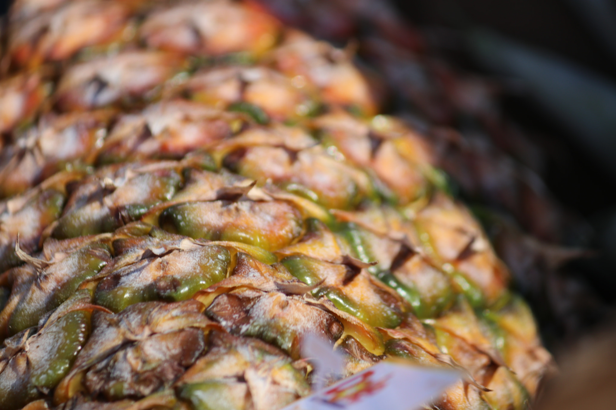 Canon EF-S 55-250mm F4-5.6 IS sample photo. Pineapple photography