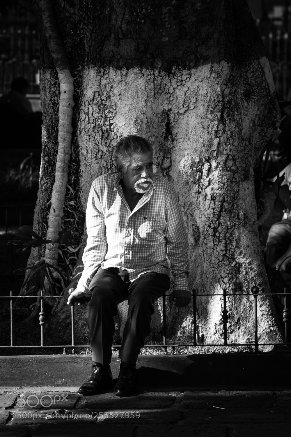 Canon EOS 550D (EOS Rebel T2i / EOS Kiss X4) sample photo. Costa rican man photography
