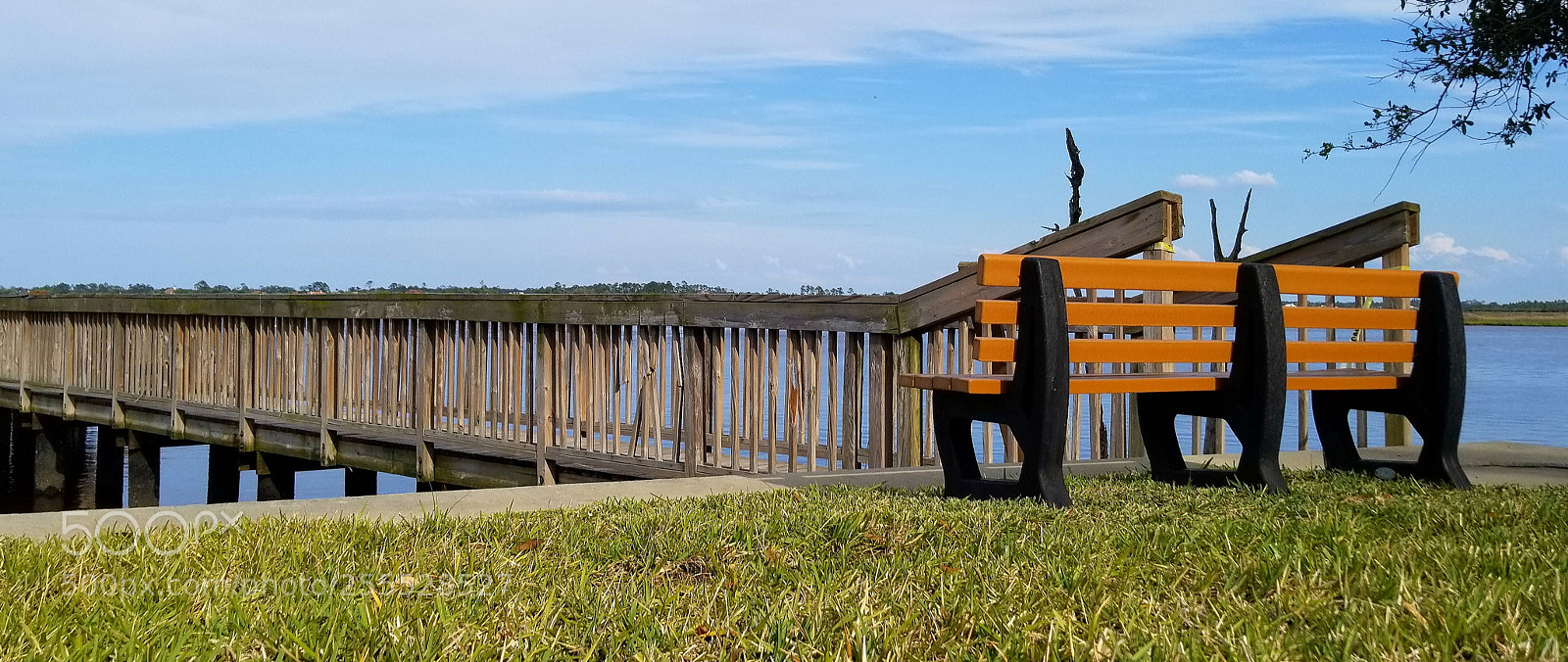 Samsung Galaxy S8+ sample photo. Peaceful #dragonbaitandjellyfish #aphoracoachhomes photography