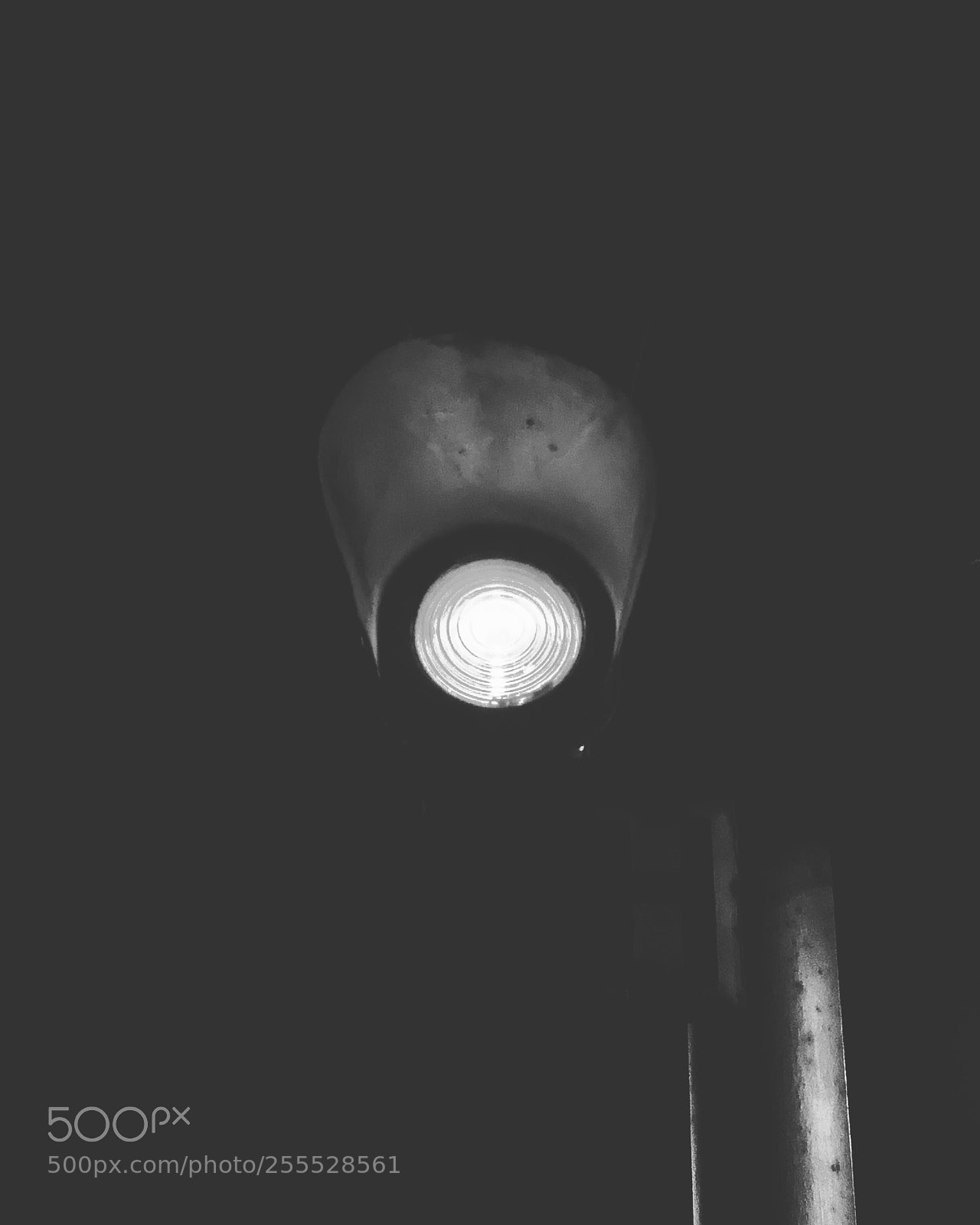 Apple iPhone 8 Plus sample photo. Untitled photography