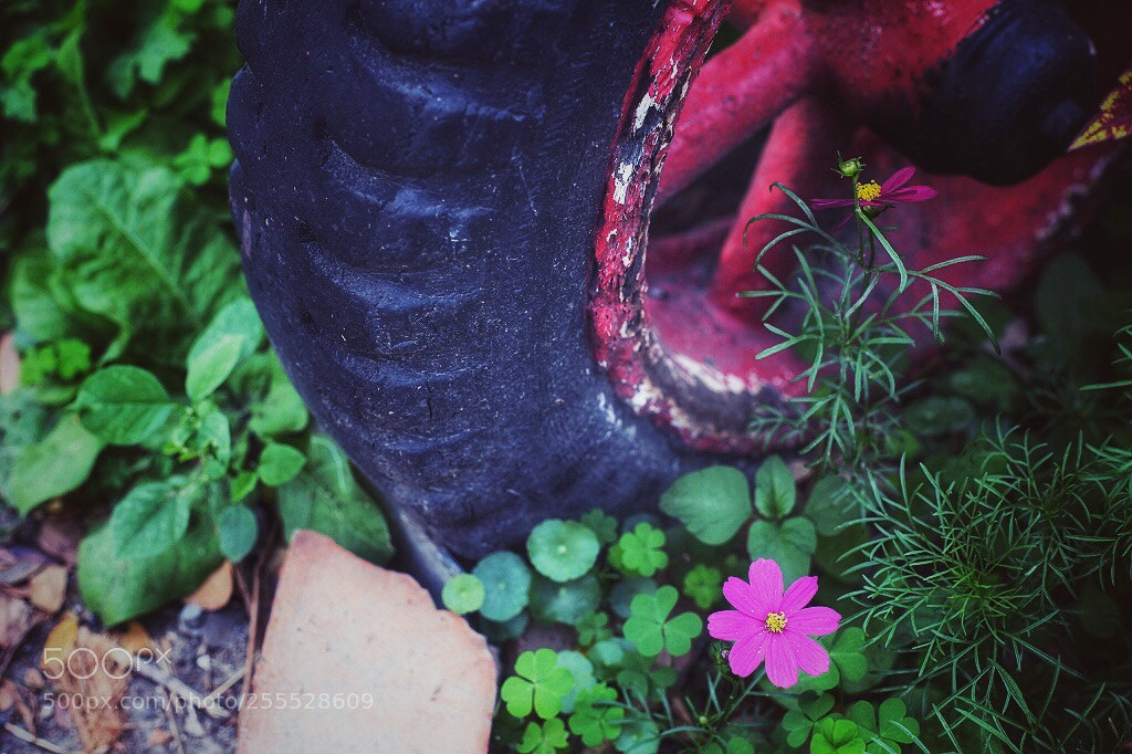 Canon EOS 5D Mark II sample photo. Untitled photography