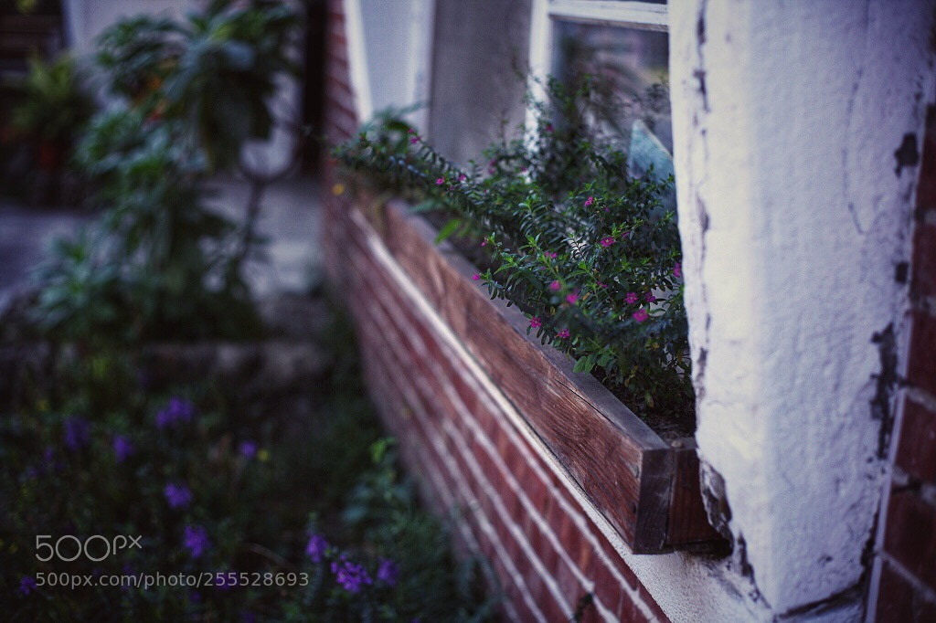 Canon EOS 5D Mark II sample photo. Untitled photography