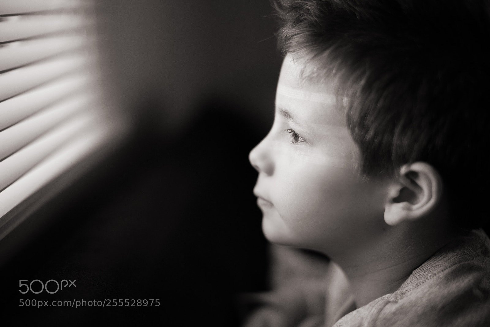 Canon EOS 6D sample photo. J photography