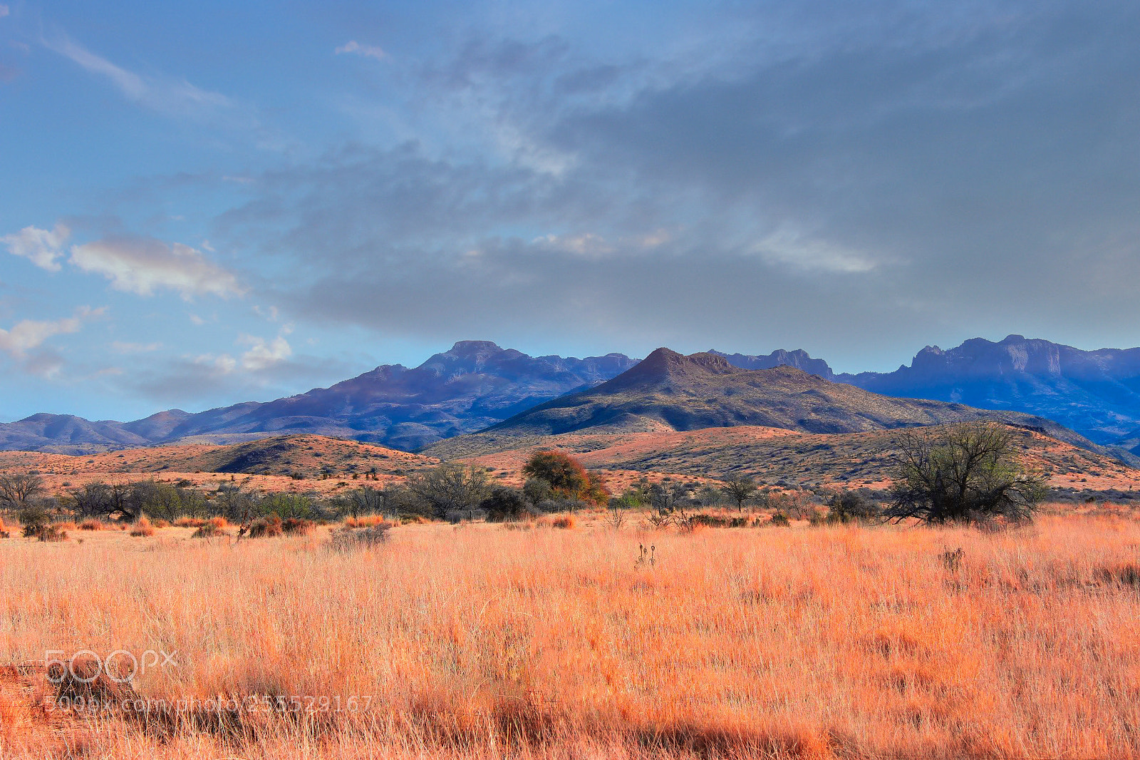 Canon EOS 600D (Rebel EOS T3i / EOS Kiss X5) sample photo. West texas landscape photography