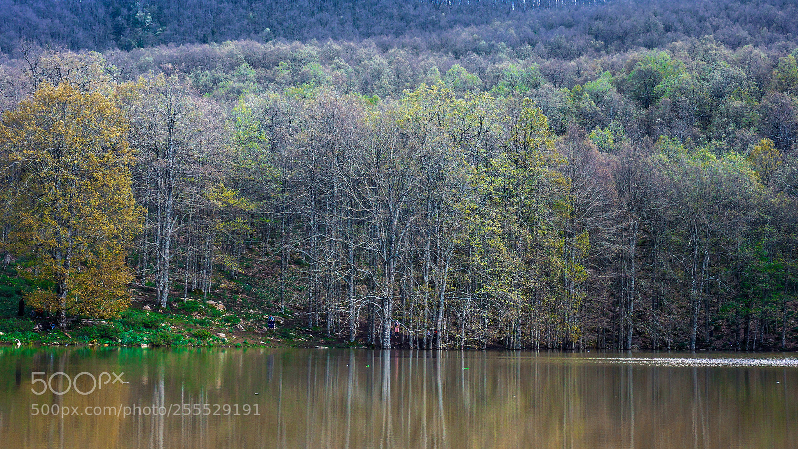 Sony Alpha NEX-7 sample photo. Lac_noir photography