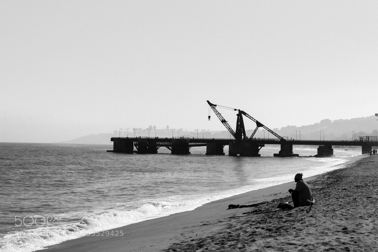 Canon EOS 700D (EOS Rebel T5i / EOS Kiss X7i) sample photo. Viña del mar photography