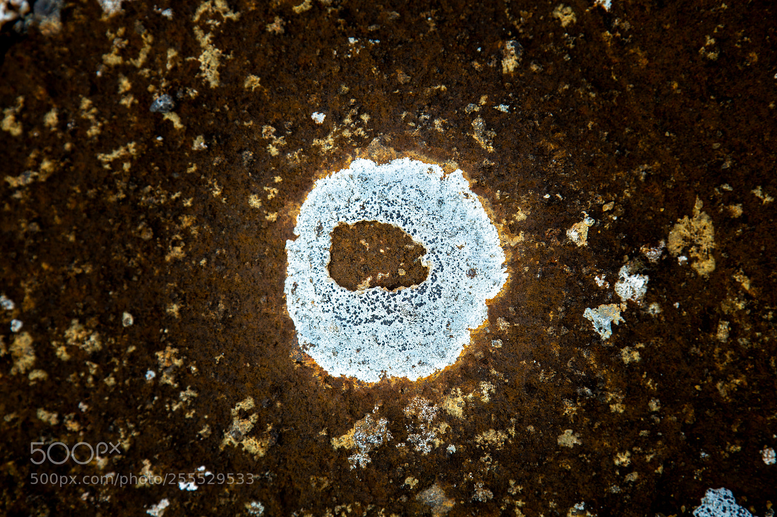 Canon EOS 6D sample photo. Eye of nature photography