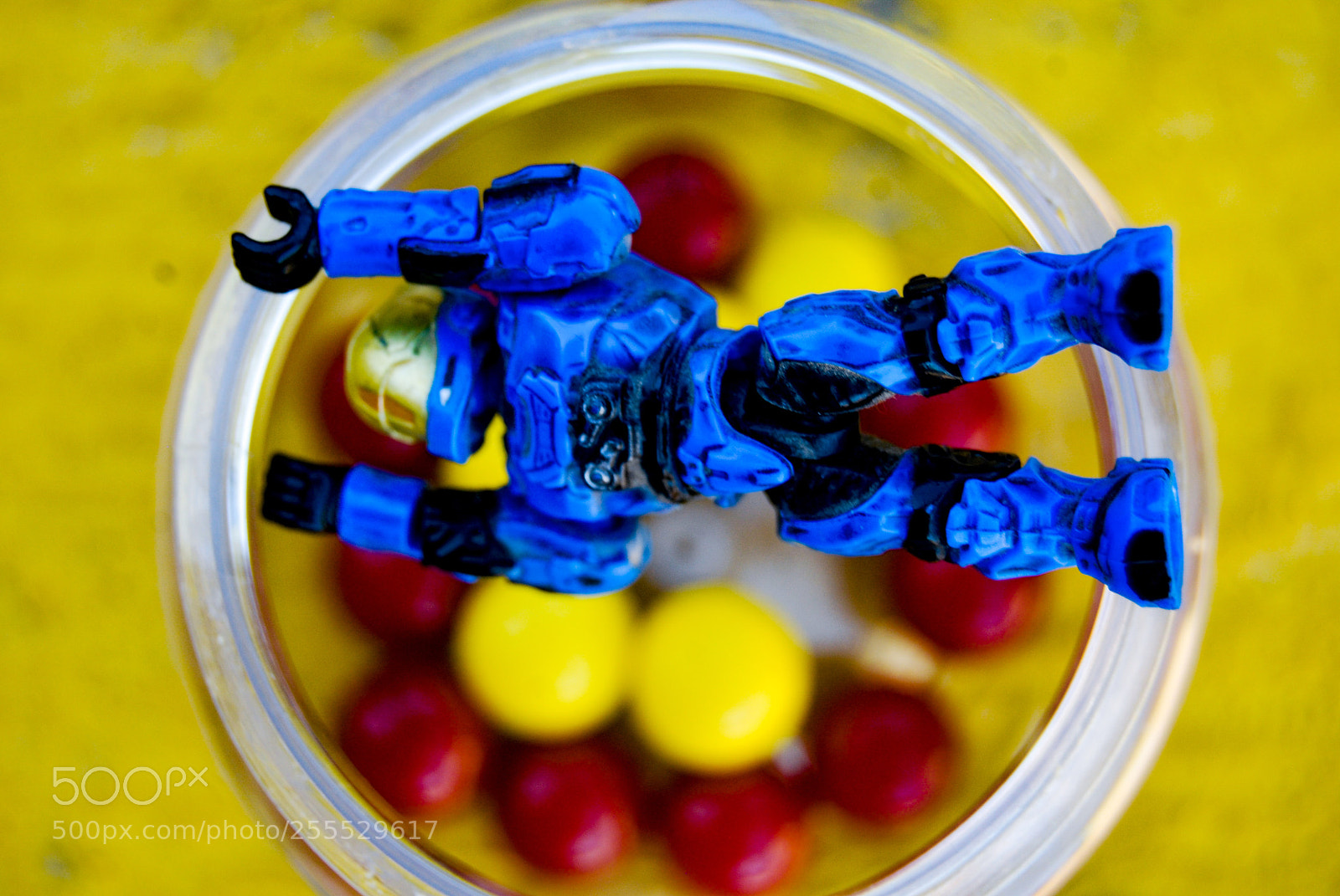 Nikon D40X sample photo. Red and yellow photography
