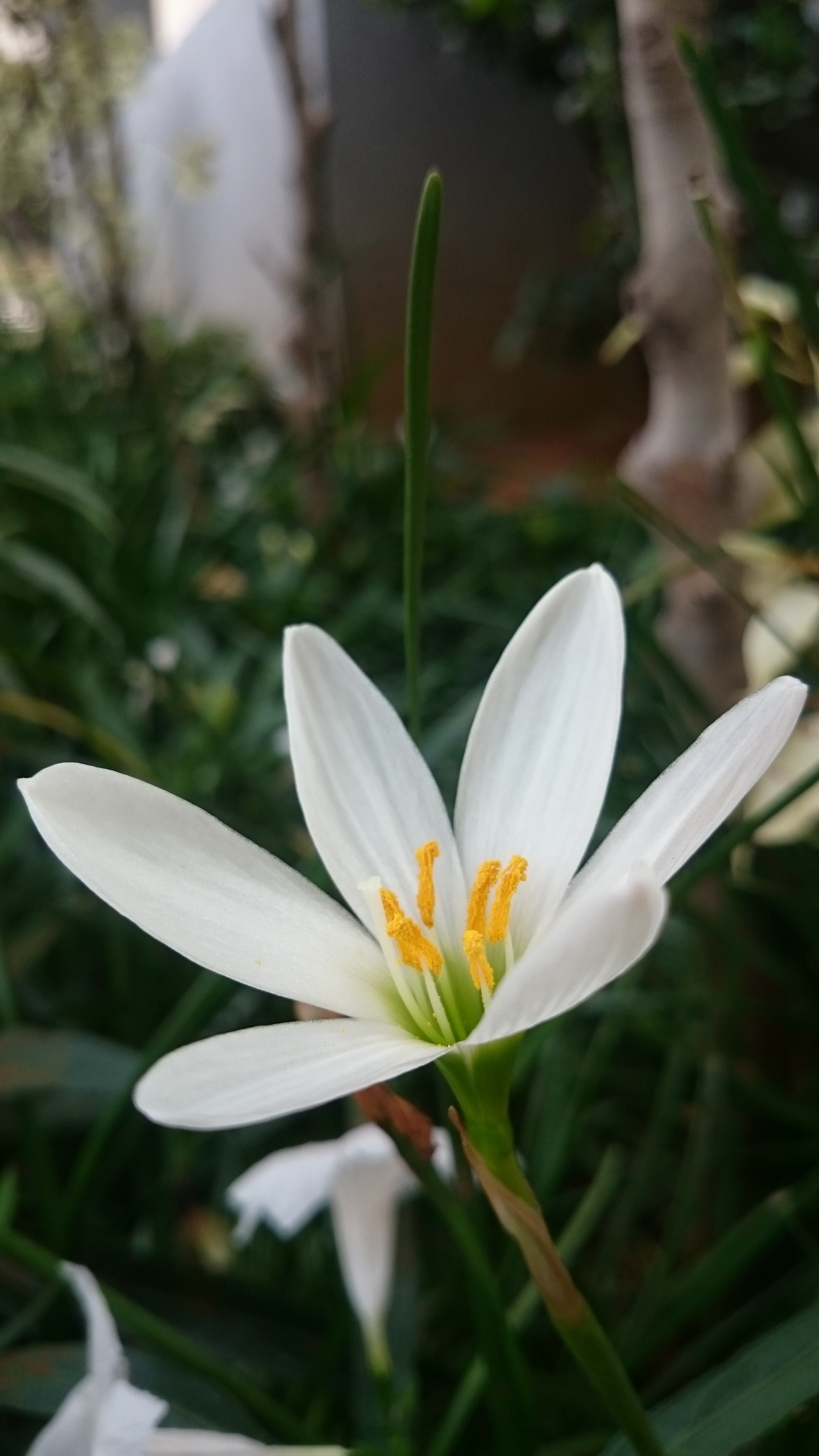 Sony Xperia Z2 sample photo