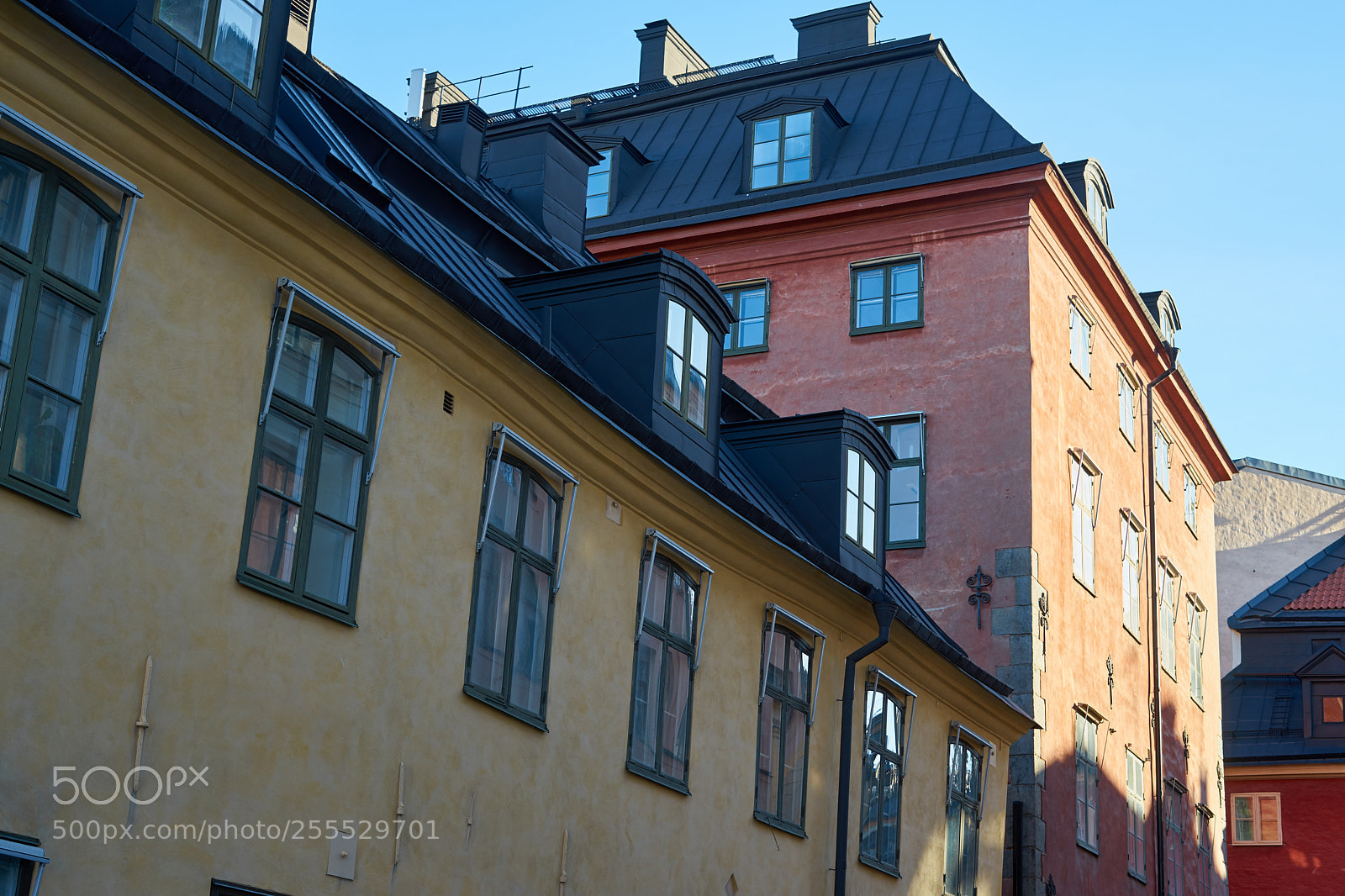 Sony a7 sample photo. Morning sun. photography