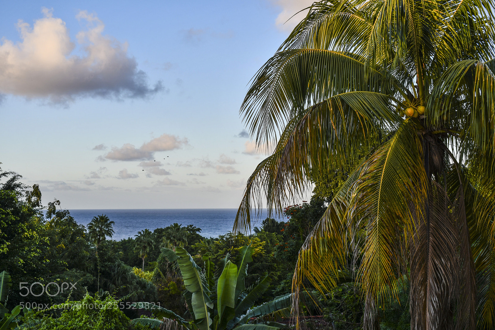 Nikon D7500 sample photo. Sunset from balcony photography