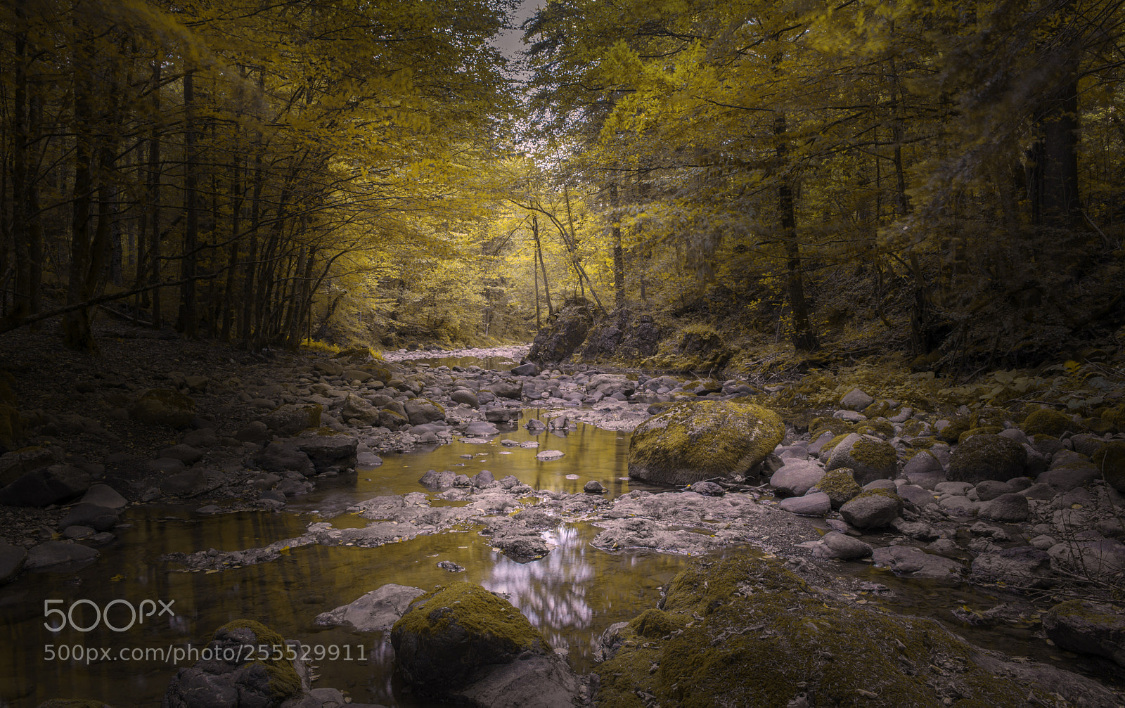 Nikon D610 sample photo. Mountain river photography