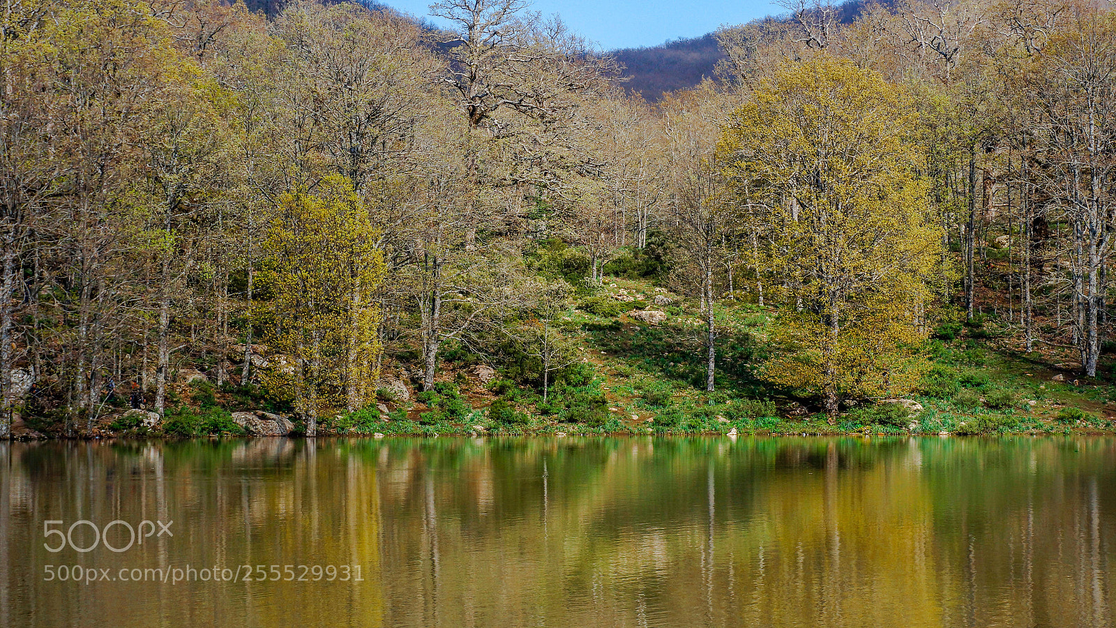 Sony Alpha NEX-7 sample photo. Lac_noir photography