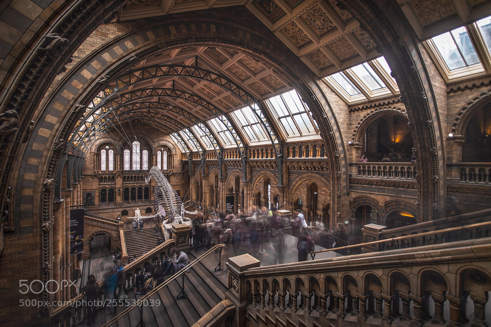 Canon EOS 6D Mark II sample photo. Natural history museum london photography