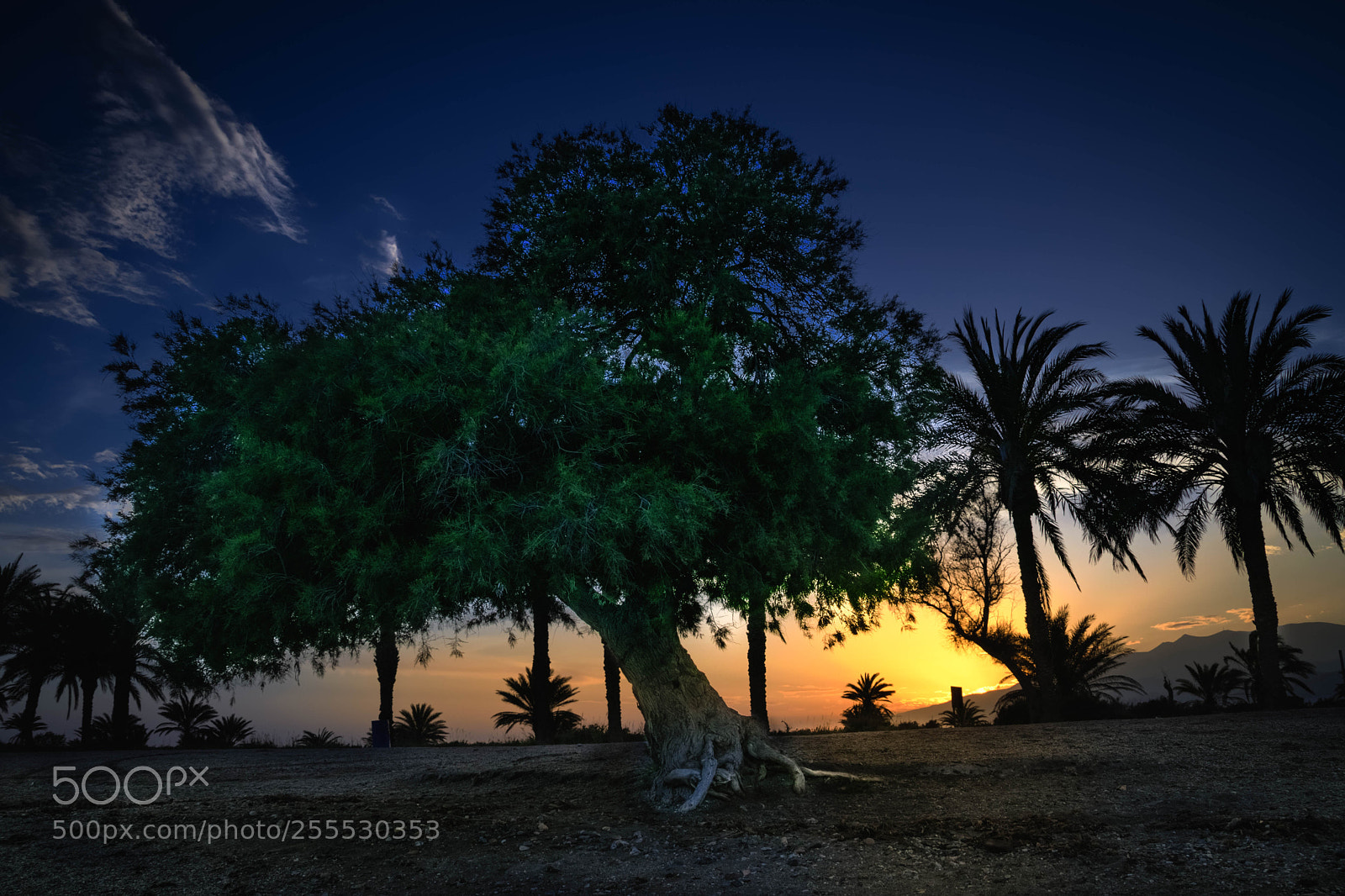 Nikon D5300 sample photo. Taray hdr photography