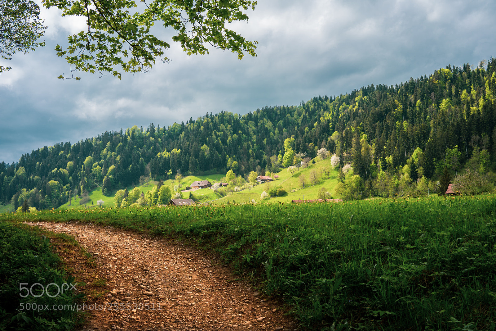 Sony a7 II sample photo. Hike in emmental photography
