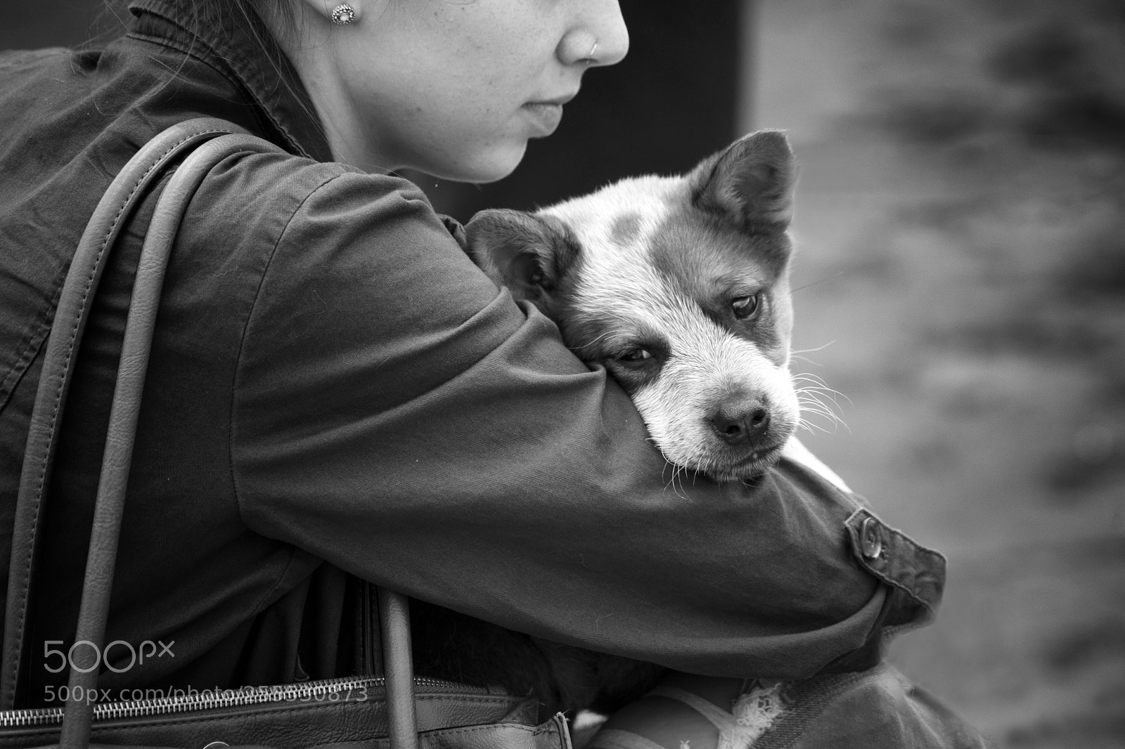 Sony a7R III sample photo. Untitled photography