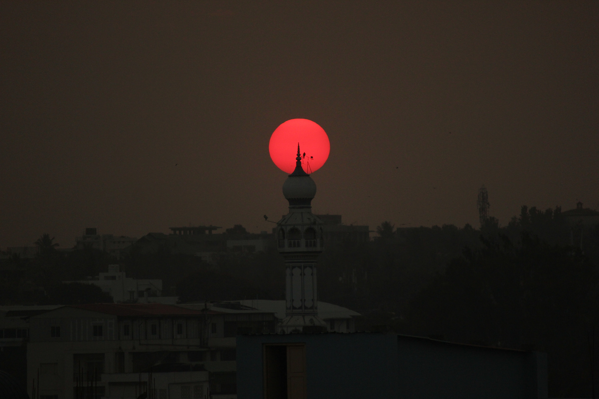Canon EF-S 55-250mm F4-5.6 IS II sample photo. Zero editz photography