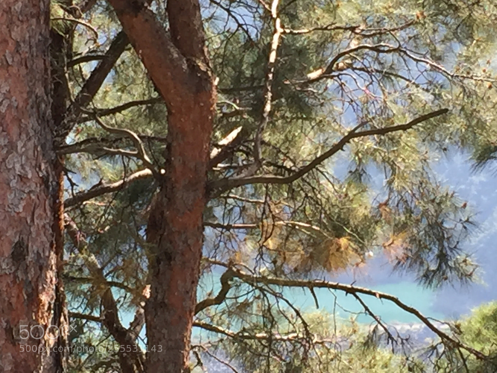 Apple iPhone 6 Plus sample photo. Untitled photography