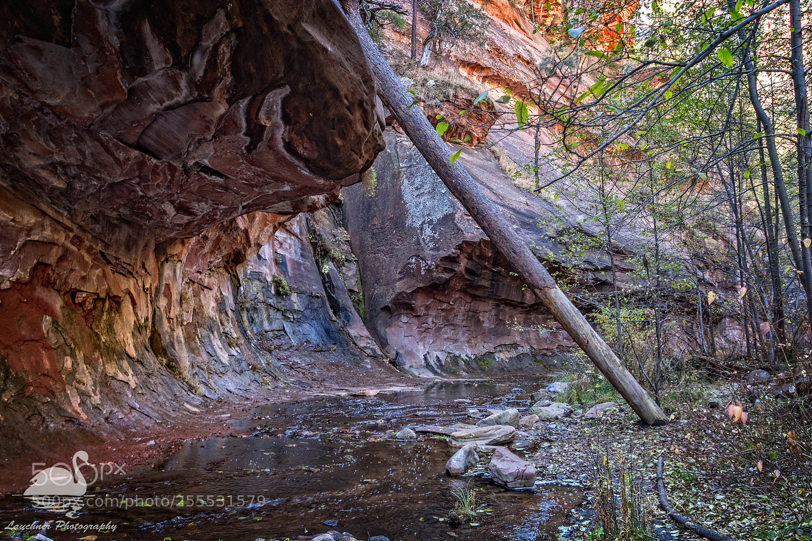 Nikon D5200 sample photo. West fork photography
